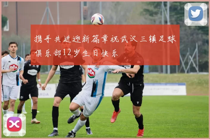 携手共进迎新篇章祝武汉三镇足球俱乐部12岁生日快乐