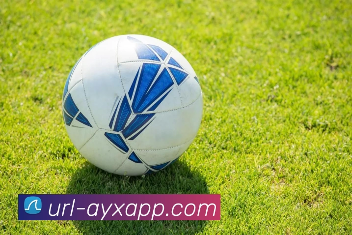 爱游戏APP 封面图